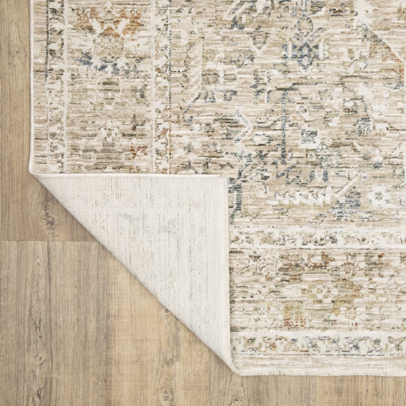 Amira Distressed Traditional Beige/ Blue Area Rug