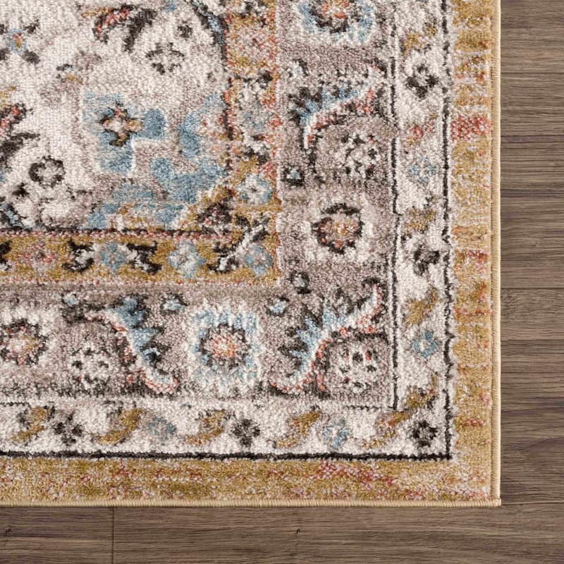Albie Oriental Persian Medallion Area Rug