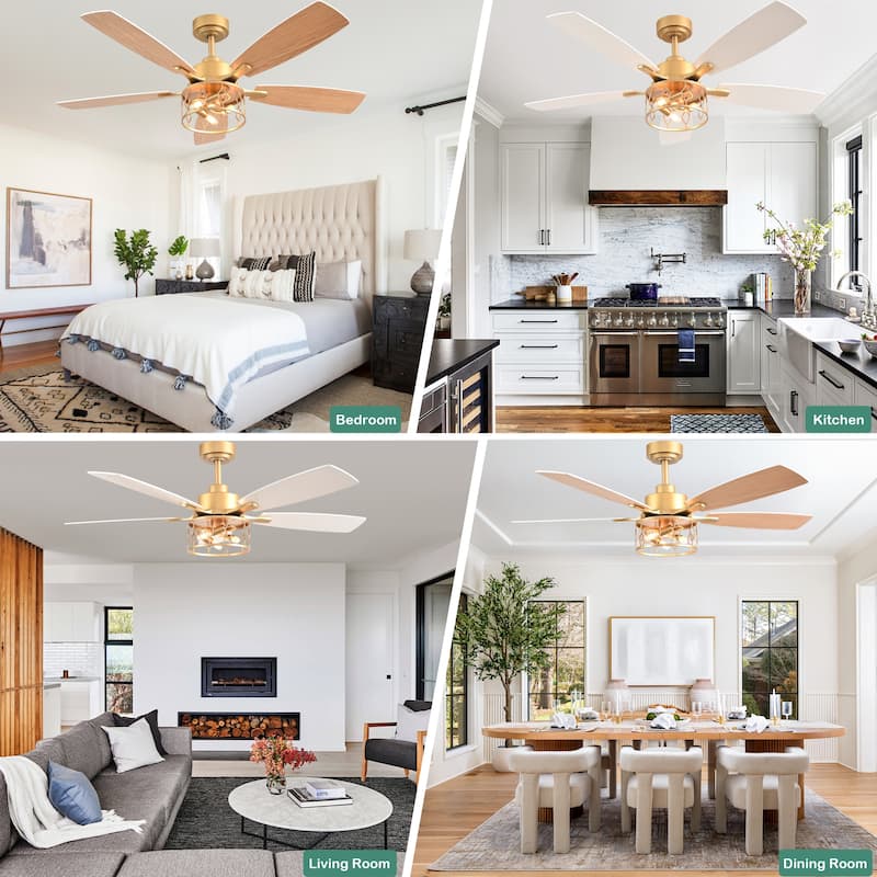 Cusp Barn 52 Inch Industrial Caged Ceiling Fan with Light and Remote, Farmhouse Quiet DC Motor Reversible Chandelier Ceiling Fan