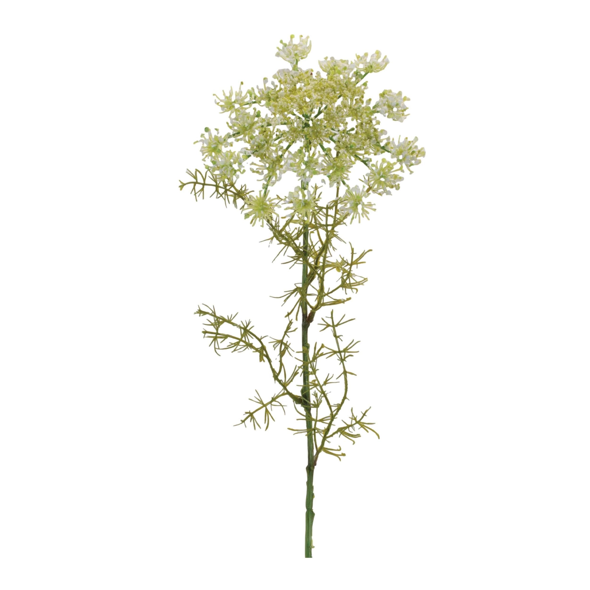 Queen Anne's Lace Floral Stem (Set of 4)