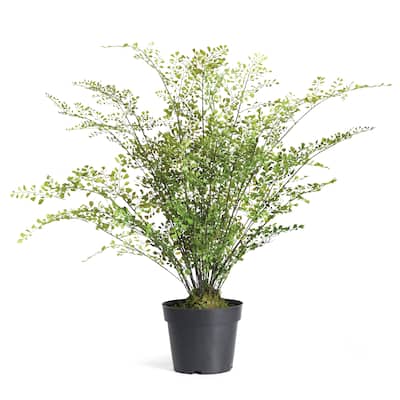 Maidenhair Drop-In 30" - Green