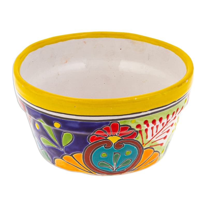 Novica Handmade Jonquil Days At The Hacienda Ceramic Flower Pot