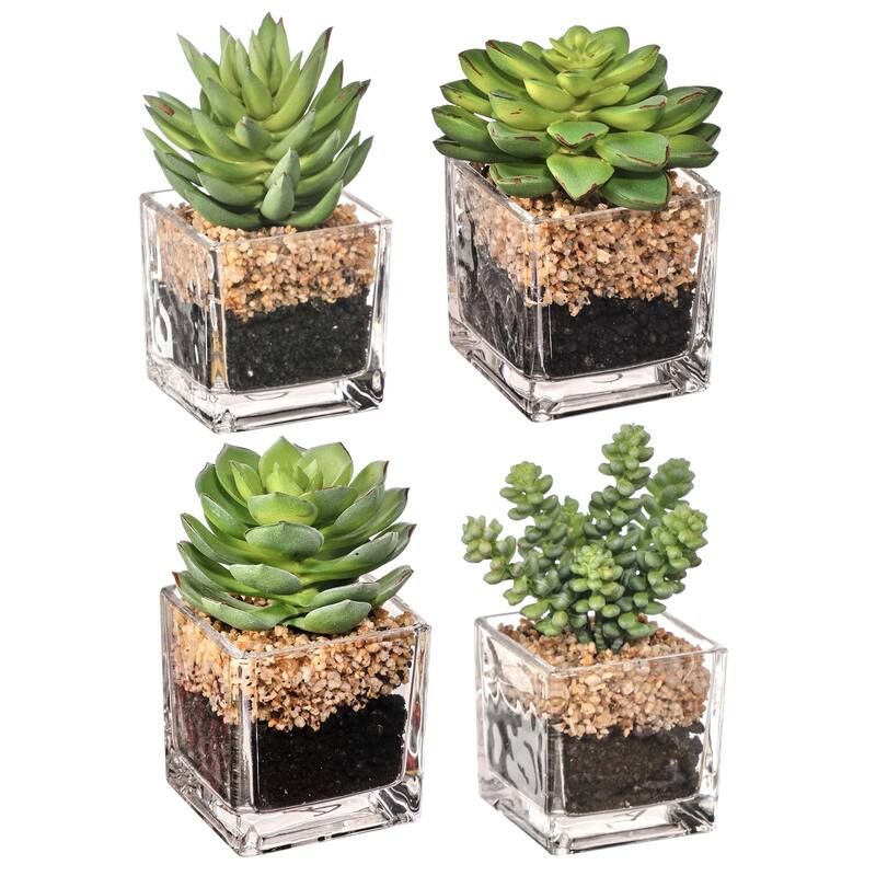 Plastic Succulent In Glass W Rock 4-5" Set of 4 - 5"