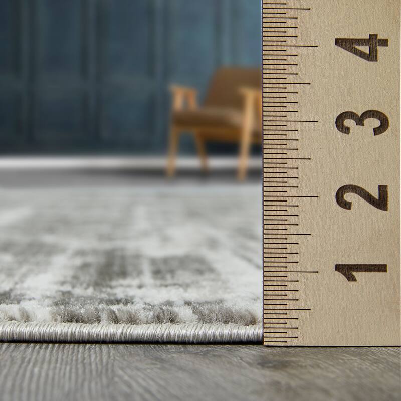 Loomaknoti Rhane Akason Gray Area Rug