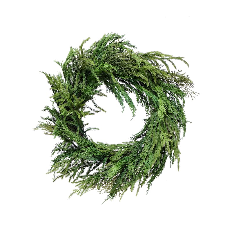 26" Cyprus Norfolk Pine Wreath