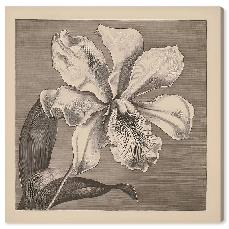 Petals Unfurled III Canvas by Art Remedy, Gallery Wrapped - 12" x 12"