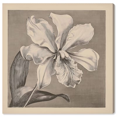 Petals Unfurled III Canvas by Art Remedy, Gallery Wrapped