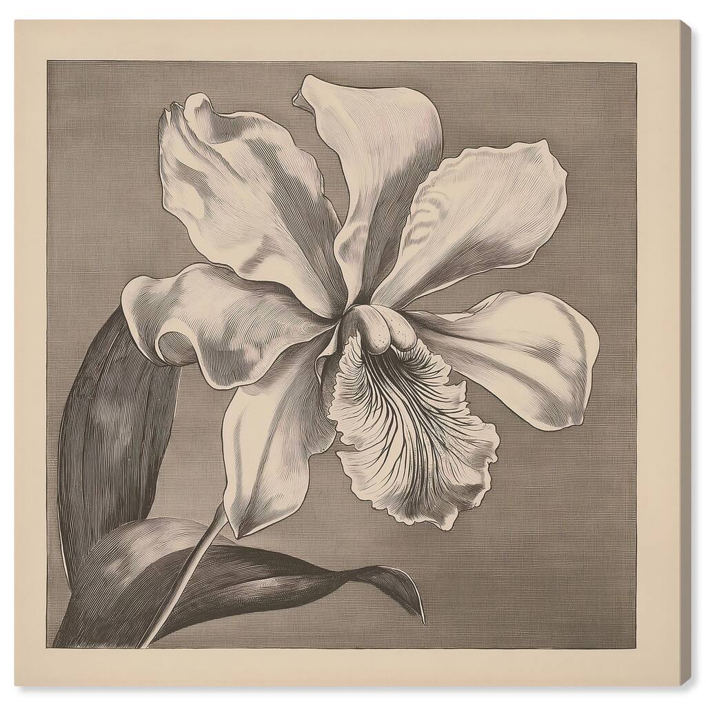 Petals Unfurled III Canvas by Art Remedy, Gallery Wrapped