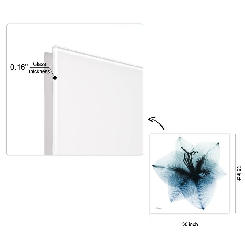 "Glacial Amaryllis" Frameless Free Floating Tempered Glass Panel Graphic Wall Art