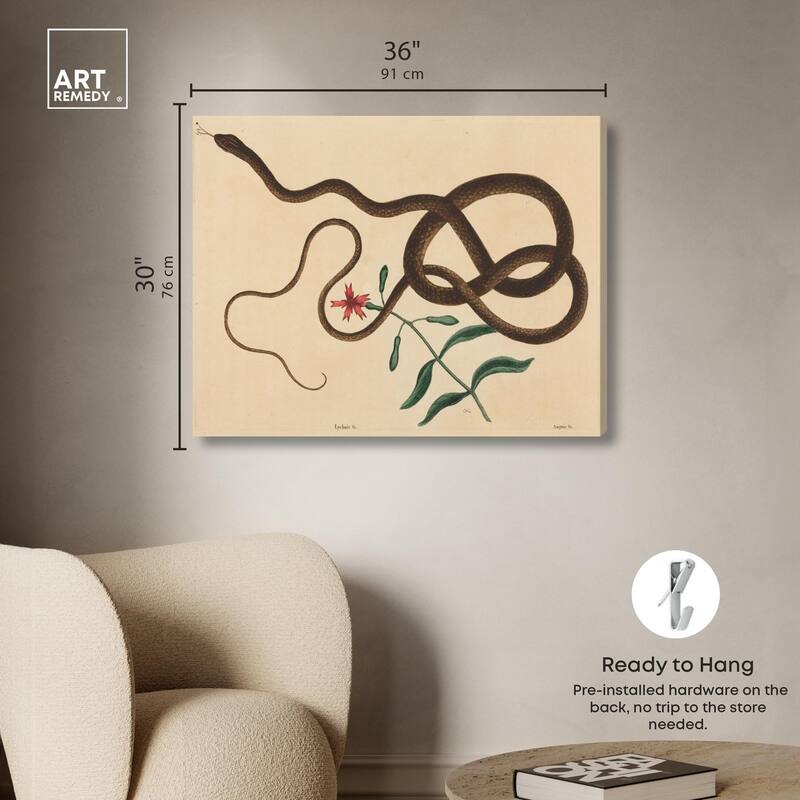 The Coach Whip Snake 1743 Canvas by Art Remedy, Gallery Wrapped