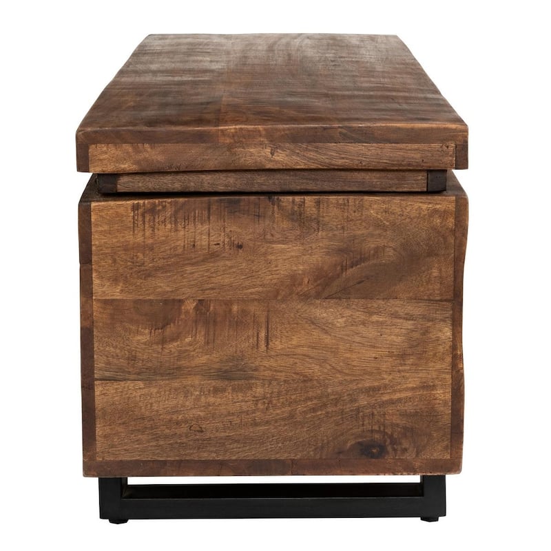 Zoe Storage Trunk by Kosas Home