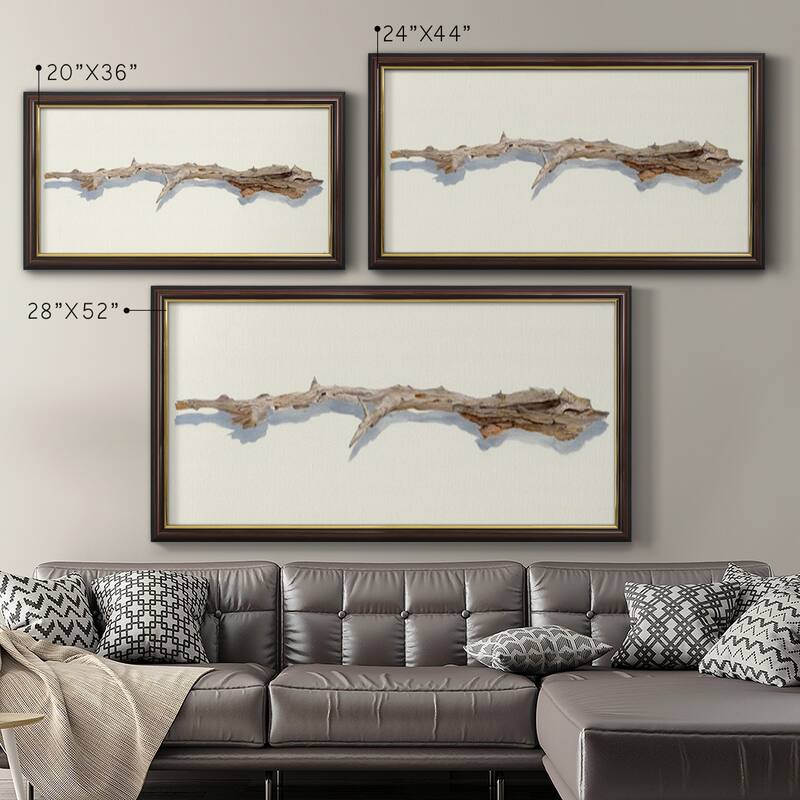 Driftwood Study I Premium Framed Canvas- Ready to Hang