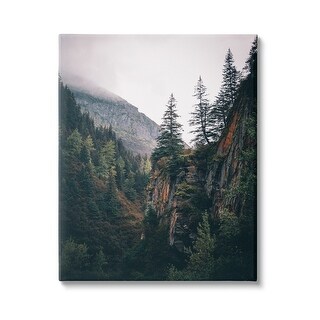 Stupell Rustic Mountain Landscape Canvas Wall Art Design by Daniel ...