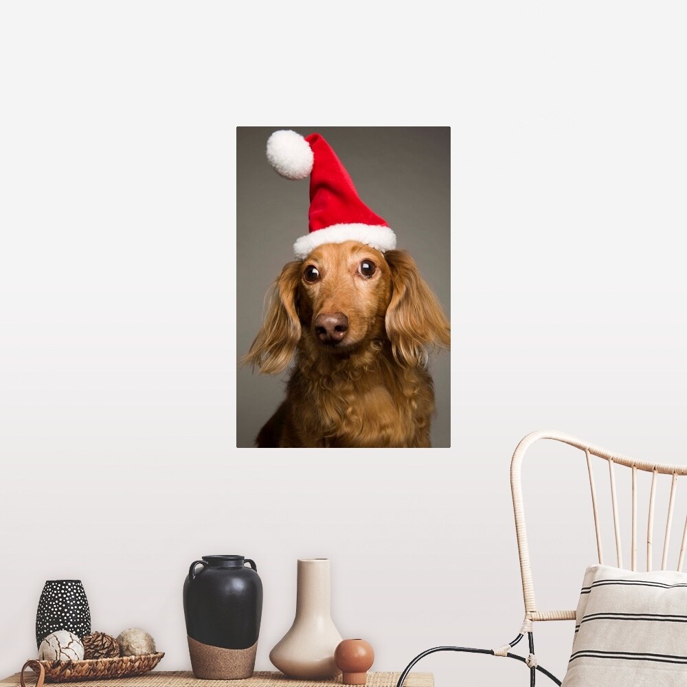 dachshund santa