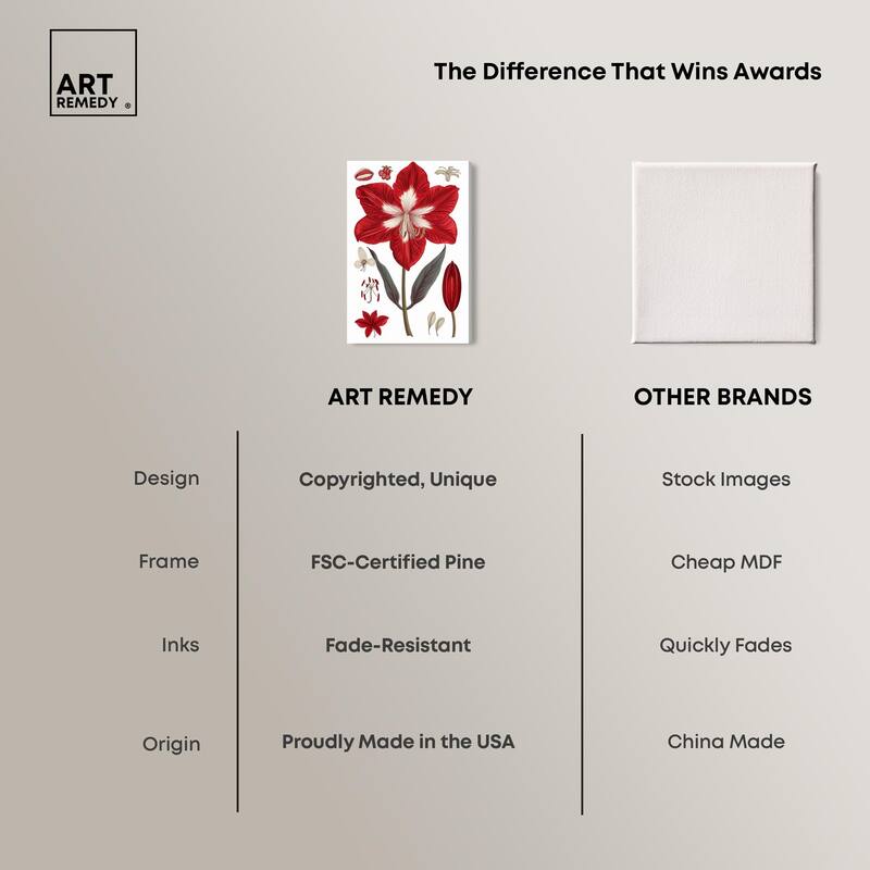 Amaryllis Anatomy Canvas by Art Remedy, Gallery Wrapped