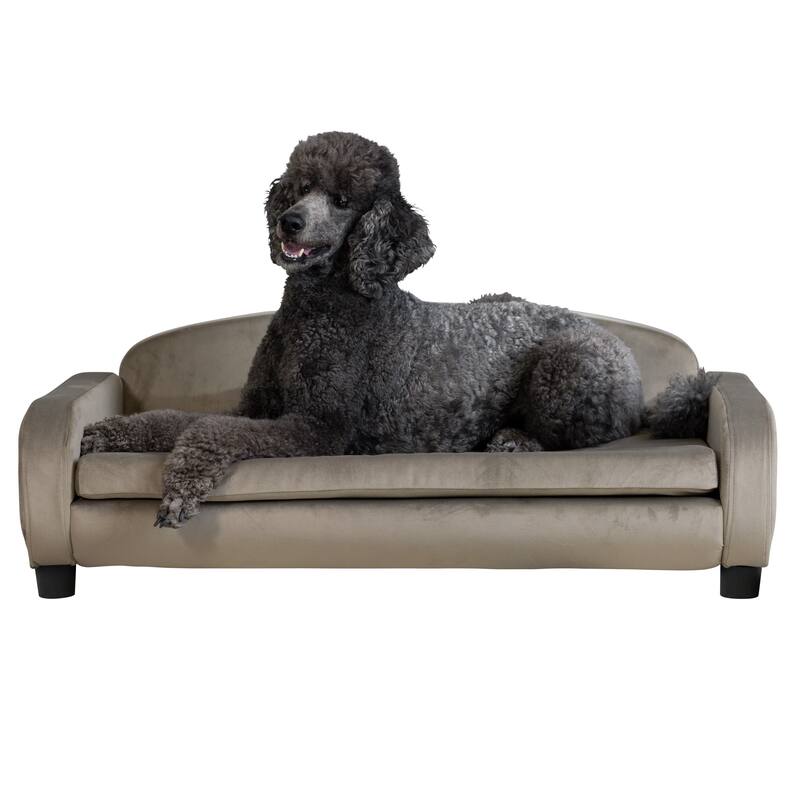 Paws & Purrs Modern Pet Sofa Bed Low-Back Lounger for Dogs & Cats – Removable Washable Mattress Cover