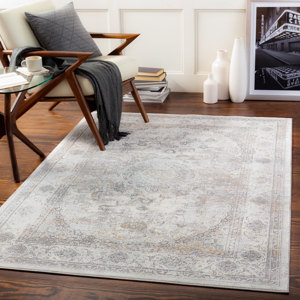 Artistic Weavers Inque Distressed Traditional Area Rug