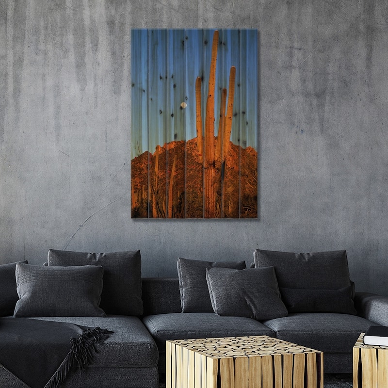 Saguaro Cactus In Desert Landscape, Sonoran Desert, Saguaro National ...