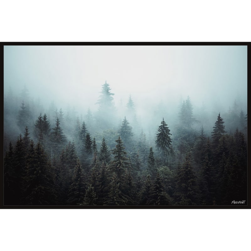 Foggy Pine Forest Floater Framed Print on Canvas
