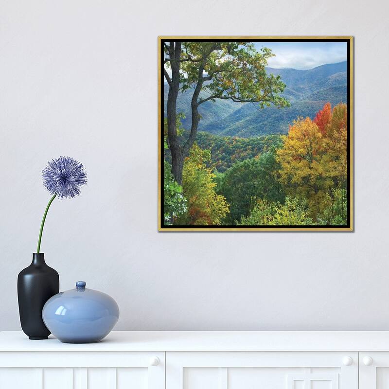 iCanvas "Deciduous Forest In Autumn, Blue Ridge Parkway, North Carolina" by Tim Fitzharris Framed Canvas Print