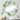 Designart 'Green Herbs And Leaves On White' Printed Patterned Wall Mirror