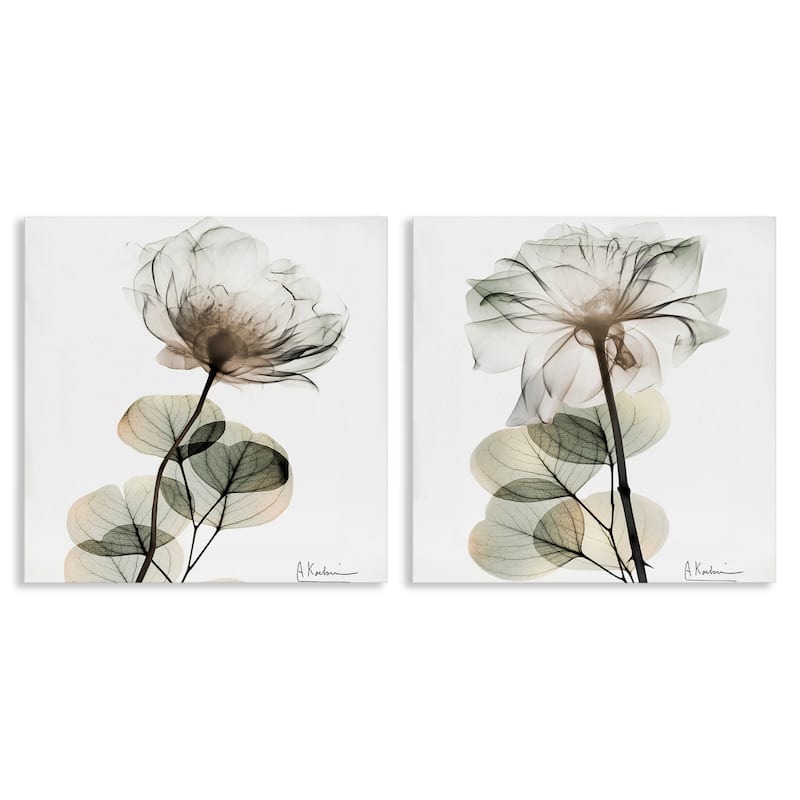 Stupell Cream Transparent Floral Canvas Wall Art Design By Albert Koetsier (Set of 2) - 17 x 17
