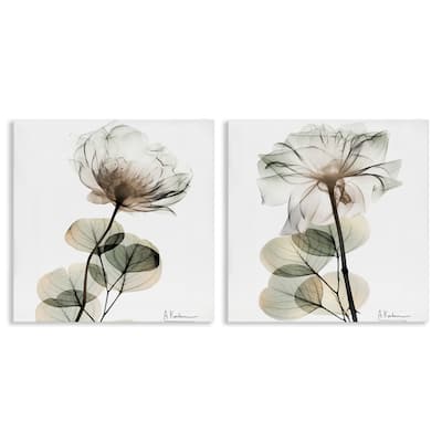 Stupell Cream Transparent Floral Canvas Wall Art Design By Albert Koetsier (Set of 2)