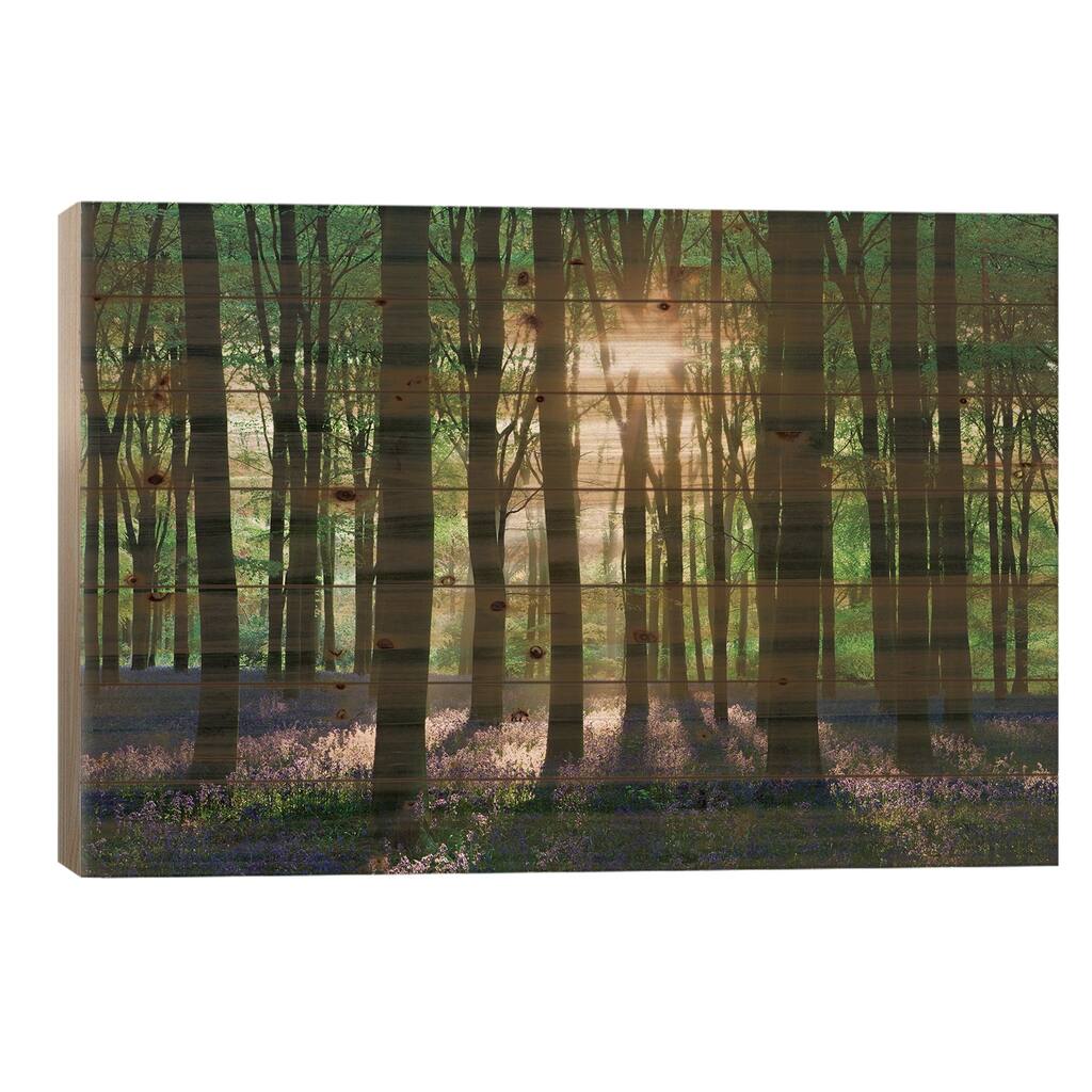 Bluebell Woodland Print On Wood by Adam Burton - Multi-Color