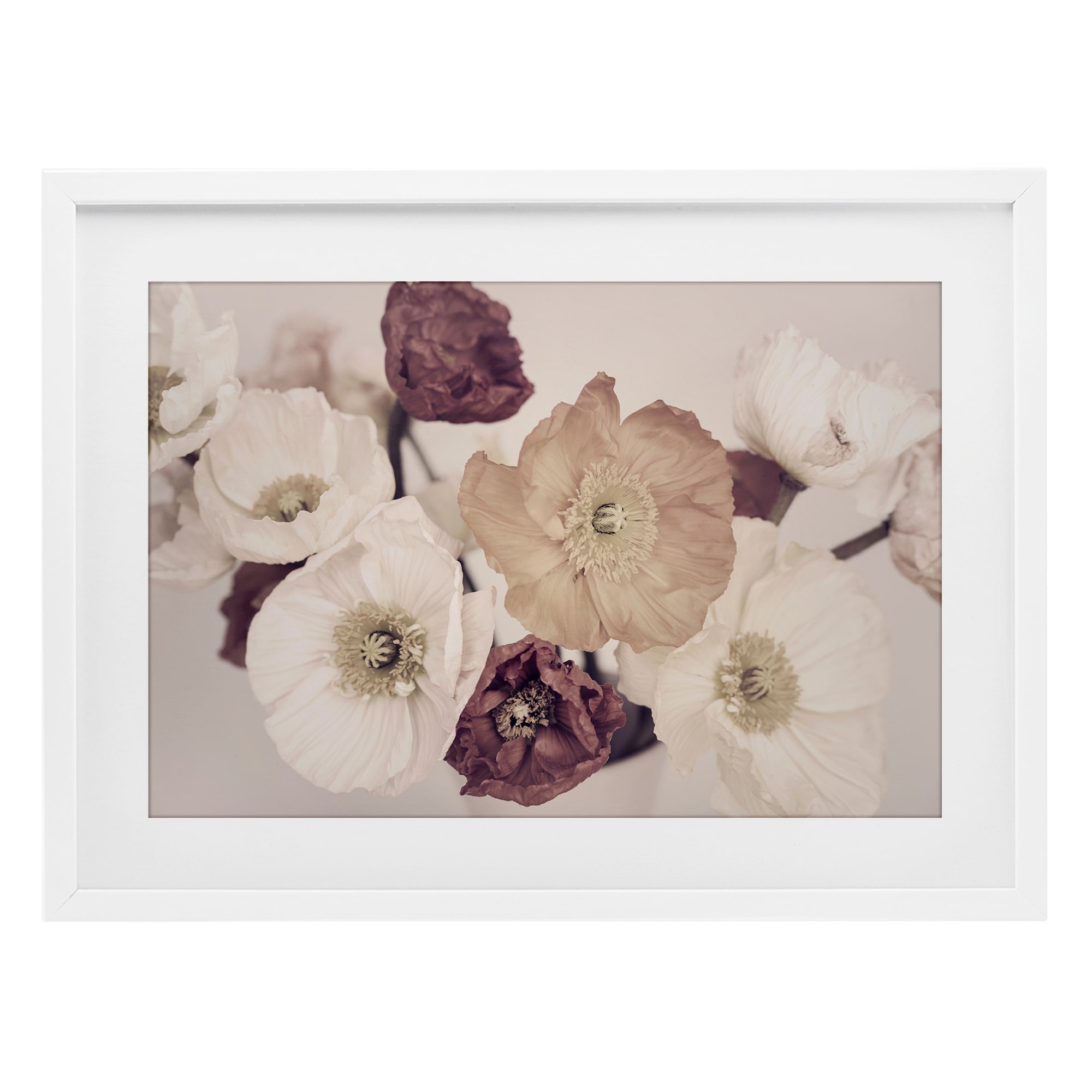 Stupell Open Blooms Maroon Florals Under Glass Framed Design By Sisi and Seb