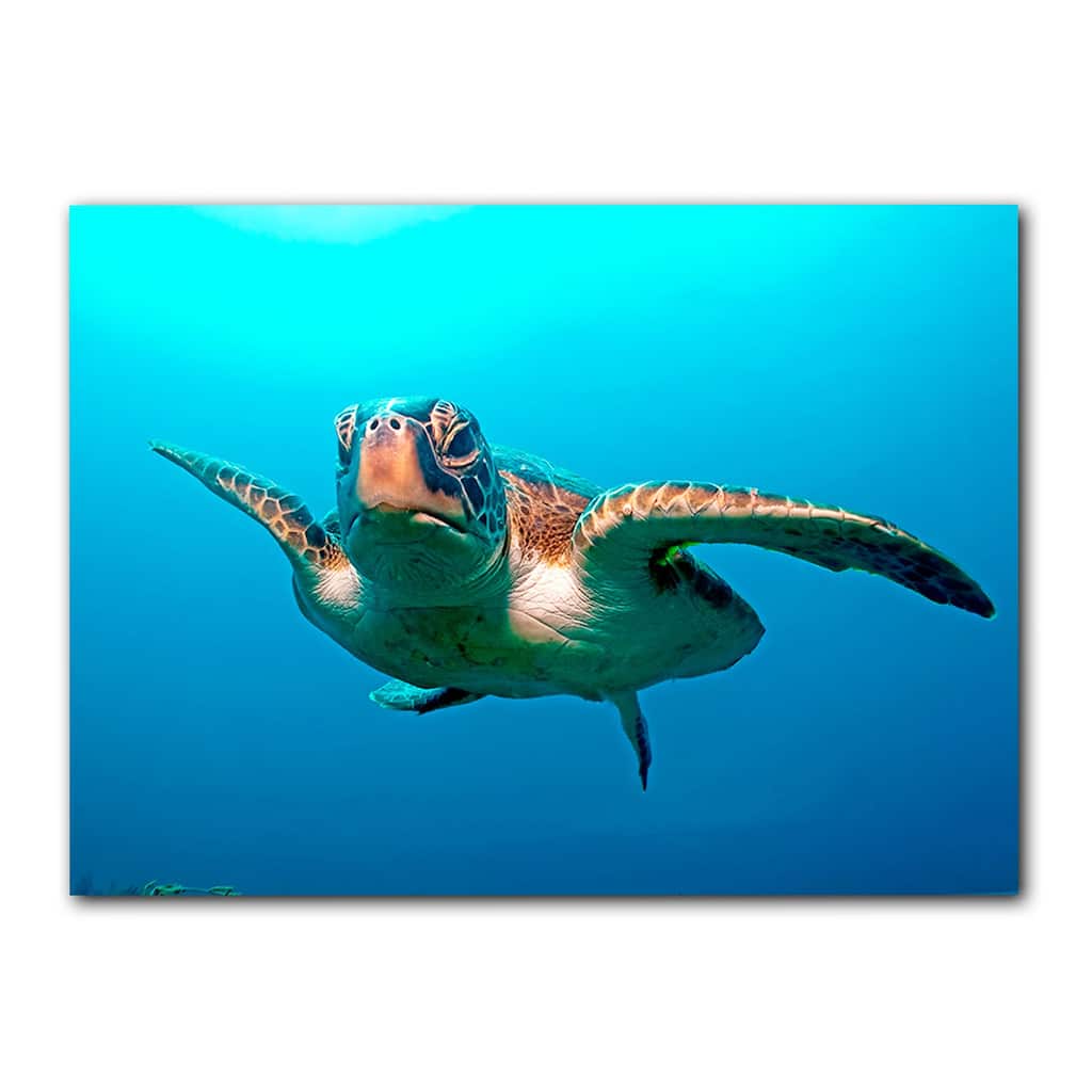 Ready2HangArt 'Squirt Blue' Wrapped Canvas Wall Art