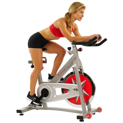 Sunny Pro Indoor Cycling Bike
