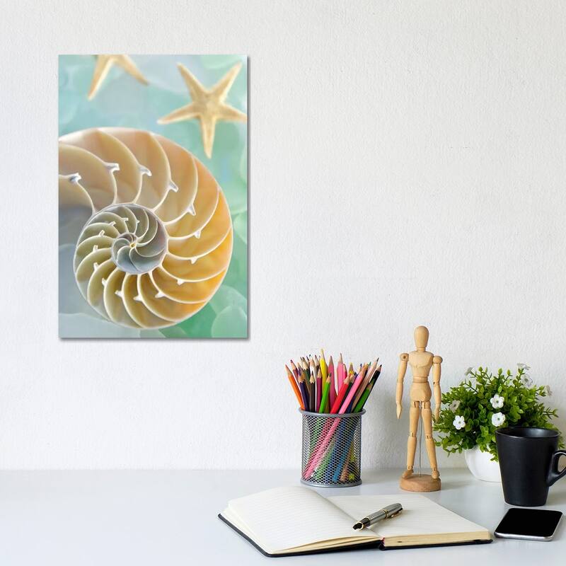 iCanvas "Seaglass 2" by Alan Blaustein Canvas Print - 12x8x0.75