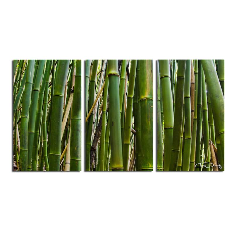 Ready2HangArt 'Maui Palms II' 3-Piece Wrapped Canvas Wall Art Set