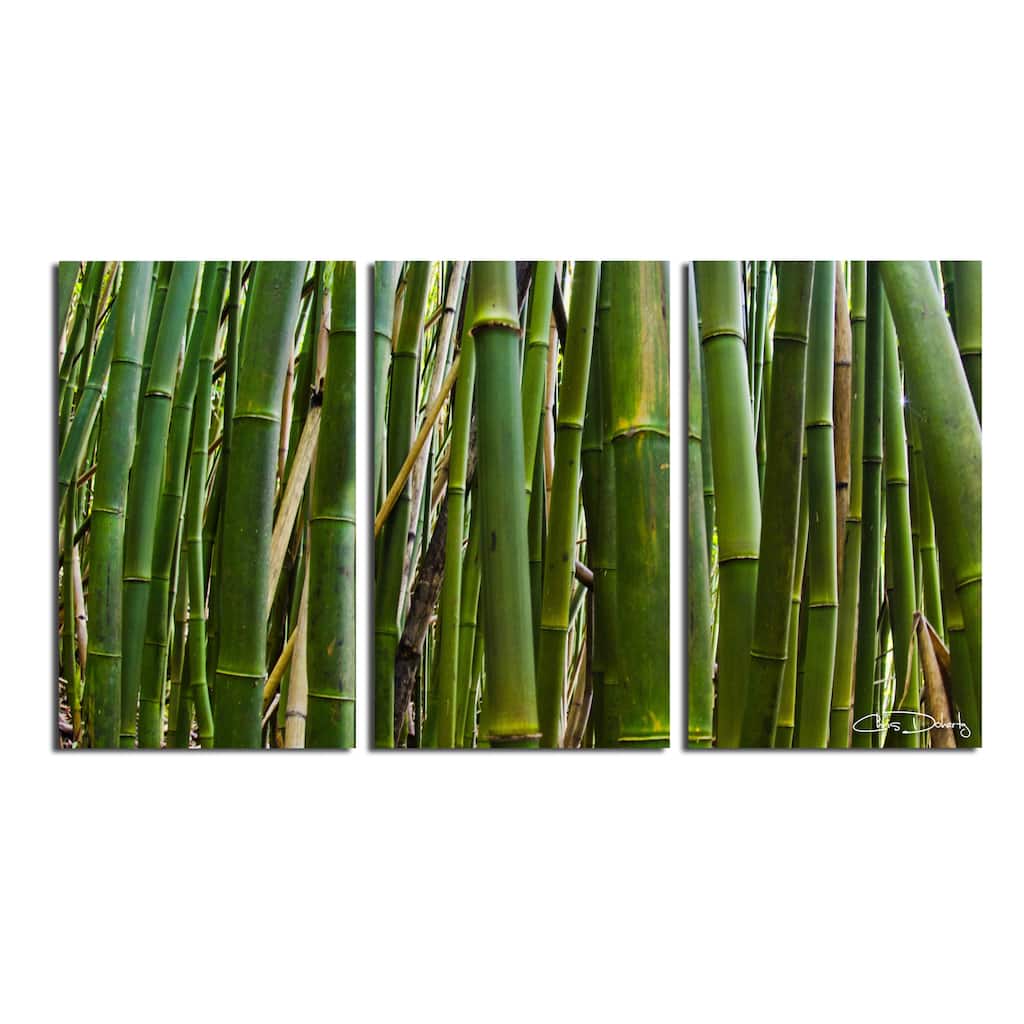 Ready2HangArt 'Maui Palms II' 3-Piece Wrapped Canvas Wall Art Set