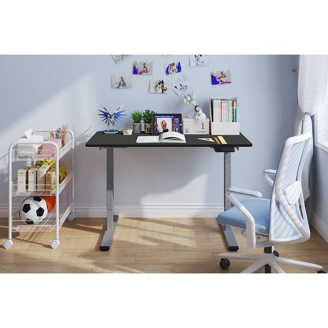 Electric Standing Desk, Dual Motor Adjustable 48x24 Home Workstation - Grey+Black