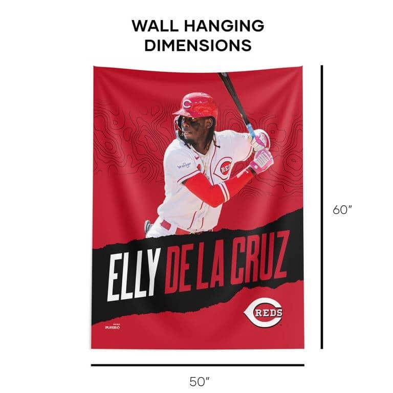MLB Cincinnati Reds Player Wall Hanging - 50" x 60"