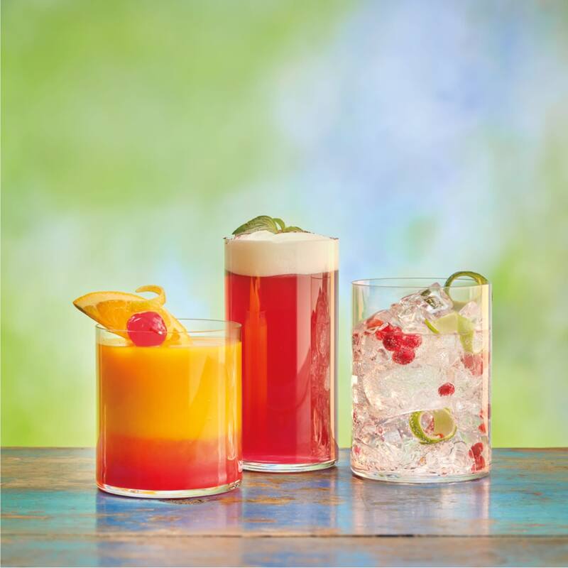Luigi Bormioli Top Class All Purpose Drinking Glass Set of 6 - 15.5 oz.