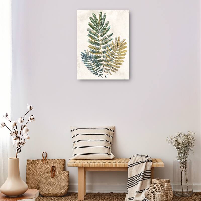 Opulent Ferns III By Studio Arts Canvas Art Print