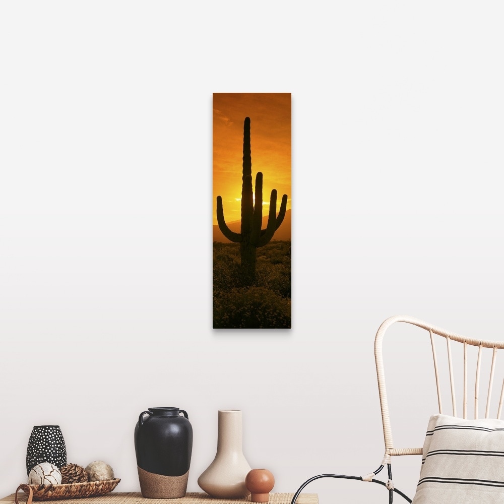 Shop For Saguaro Cactus Carnegiea Gigantea In A Desert At Sunrise Arizona Canvas Wall Art Get Free Delivery On Everything At Overstock Your Online Art Gallery Store Get 5 In Rewards With Club O 16896201