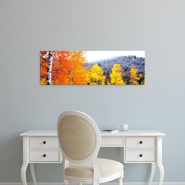 Easy Art Prints Panoramic Image 'Aspen trees, Blacktail Butte, Grand Teton National Park, Wyoming' Canvas Art