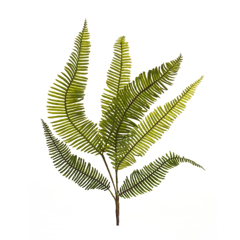 Fern Spray (Set of 6)