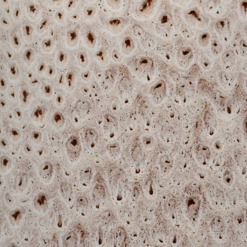 Sagebrook Home's Stoneware Truman Vase, Elegant Design for Modern Living