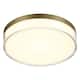 Option Ashen Brass