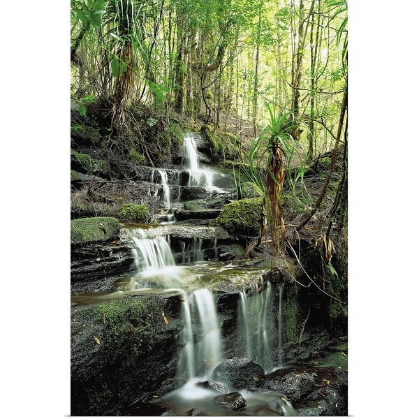 "Rainforest stream" Poster Print