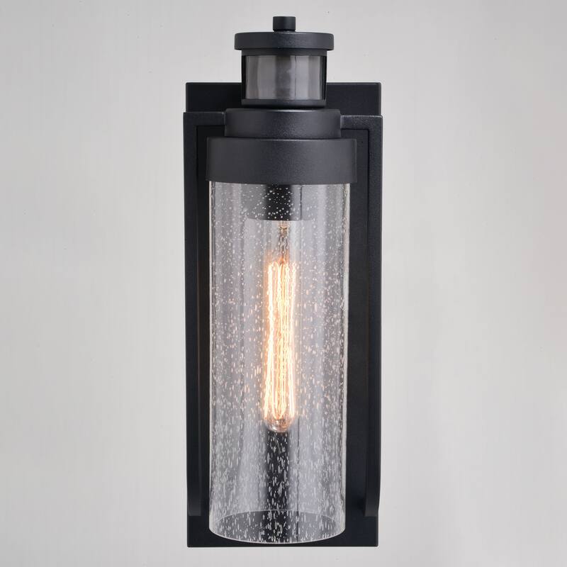 Lawton Steel LED Compatible Black Motion Sensor Dusk to Dawn Outdoor Wall Light Transitional Clear Glass