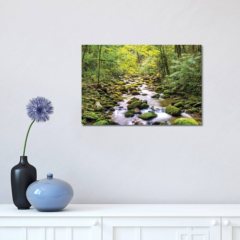 iCanvas "Creek Running Through Roaring Fork In Smoky Mountains" by Susan Schmitz Canvas Print