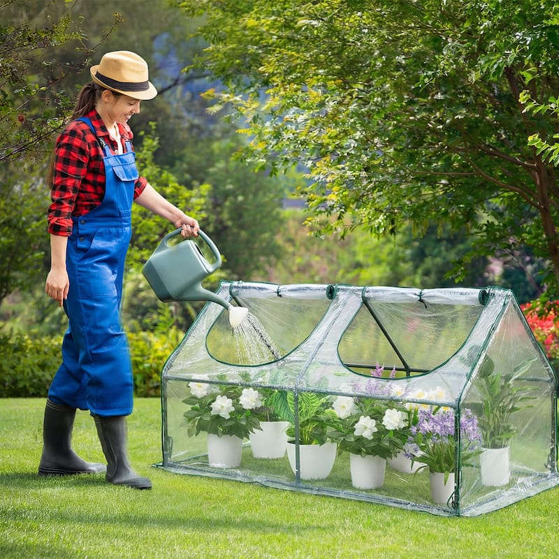 Aoodor 4 ft. x 2 ft. x 2 ft. Mini Greenhouse 2 Zipper Doors