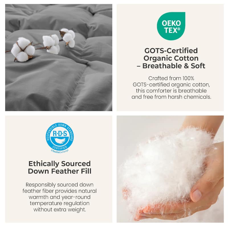 All Season 300TC Organic Cotton Down Comforter - 100% Natural, Chemical-Free, Medium Warmth Duvet Insert