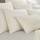 Option Ivory