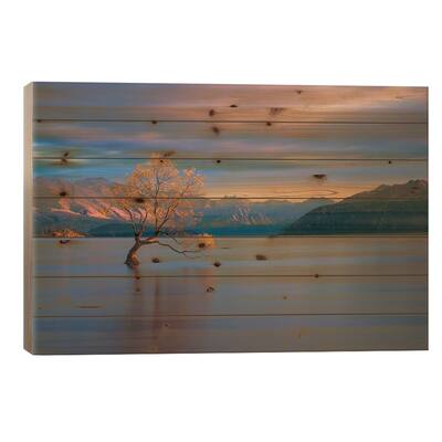 Morning Glow Print On Wood by Renee Doyle - Multi-Color